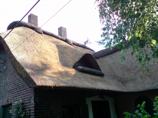 <h1>Heide Nok</h1>