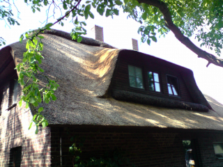 <h1>Heide Nok</h1>