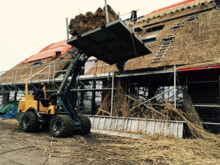<h1>Rieten kap Elst (Gld.)</h1>