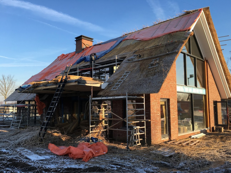 Rieten kap Elst (Gld.)